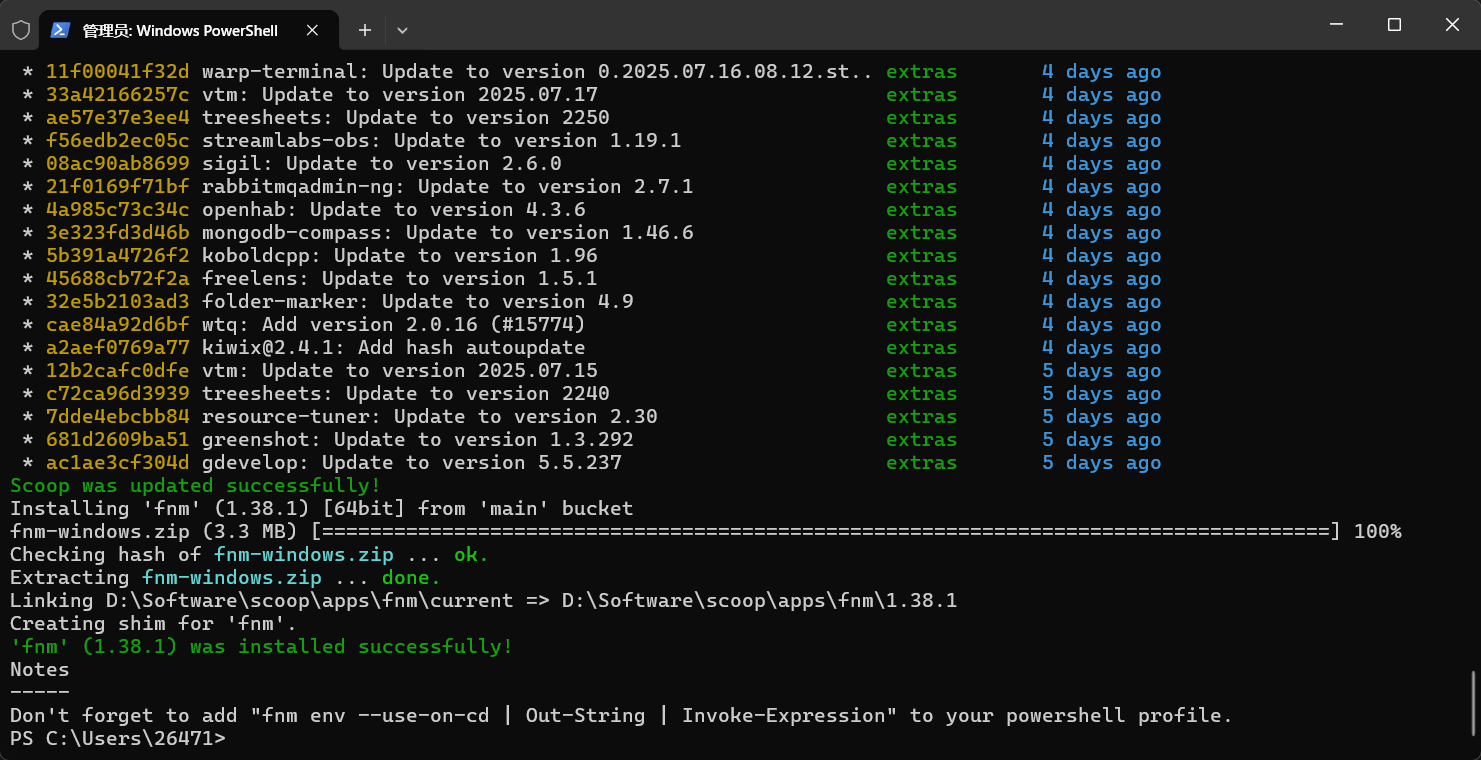 使用 scoop install fnm 命令安装 fnm
