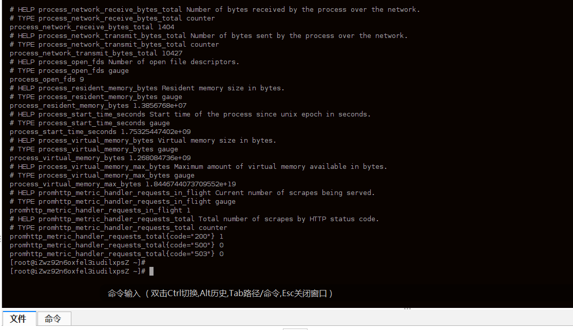 curl 命令获取 Nginx Exporter 指标的输出