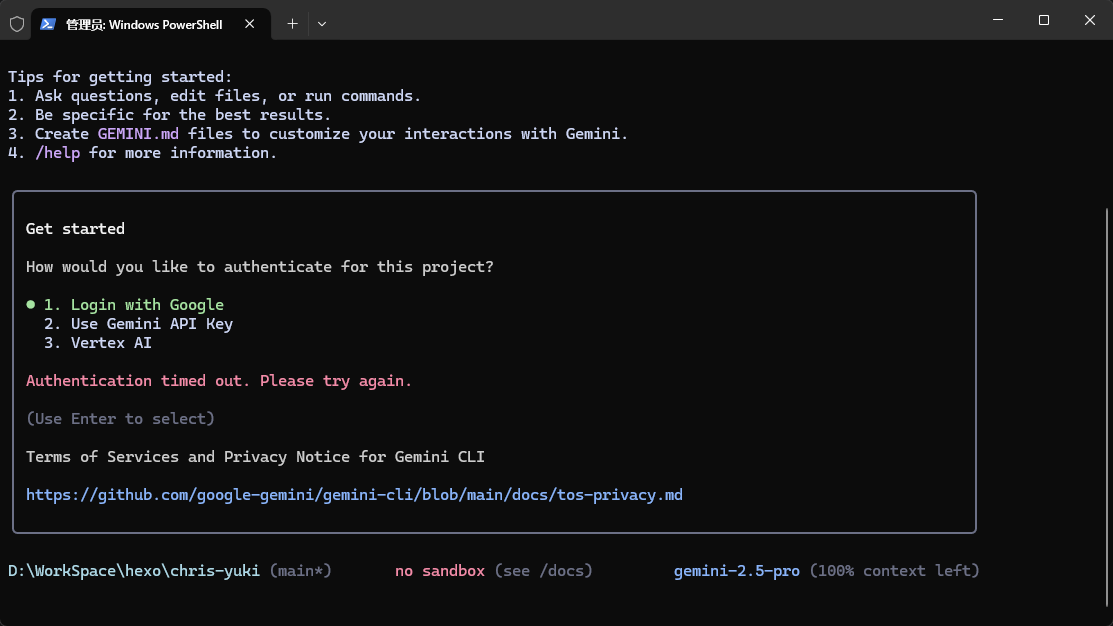 Gemini CLI 登录选项