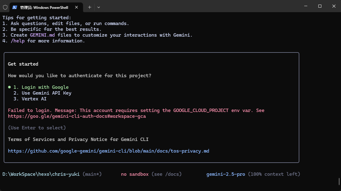 缺少 GOOGLE_CLOUD_PROJECT 环境变量的错误提示